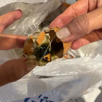 Online Siparişte Bozuk Yumurta Teslimatı Ve Mağduriyet