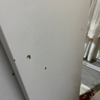Aeka Mobilya Kırık Gardırop Teslimatı ve Geciken İade Süreci Mağduriyeti