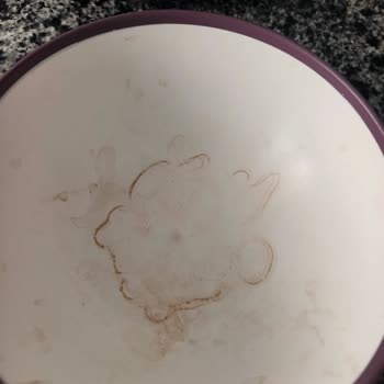 Beko Bulaşık Makinesi Hayal Kırıklığı: Kötü Performans Ve Çözülmeyen Sorun