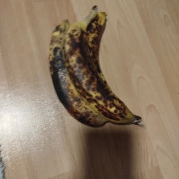 Yemeksepeti Market Bozuk Ve Çürük Ürün Teslimatı Sonrası Mağduriyet Ve İade Talebi