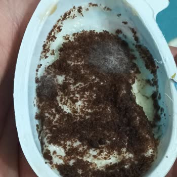 Son Kullanma Tarihi Geçmemiş Üründe Bozulma Ve Sağlık Riski Endişesi