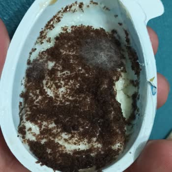 Son Kullanma Tarihi Geçmemiş Üründe Bozulma Ve Sağlık Riski Endişesi