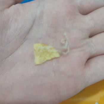 BİM'den Alınan Cips Paketinde Yabancı Cisim Şoku: Sağlık Ve Hijyen Endişesi