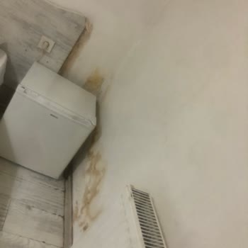 Kötü Hijyen Ve İlgisiz Hizmet Nedeniyle Otel Konaklamam Hayal Kırıklığıyla Sonuçlandı