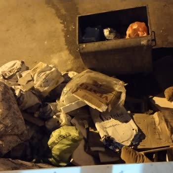 Çöp Konteynerlerinden Kaynaklanan Yoğun Koku Ve Kirlilik Sorunu