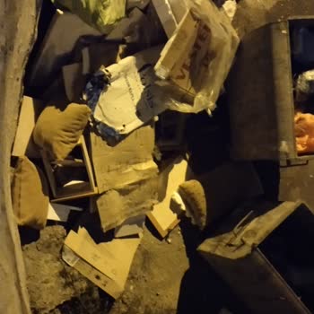 Çöp Konteynerlerinden Kaynaklanan Yoğun Koku Ve Kirlilik Sorunu