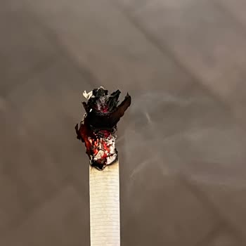 Camel Soft Sigaralarda Odun Parçaları Ve Kalite Sorunu Mağduriyeti