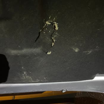 Garanti Kapsamındaki Sorunum Çözülmedi, Müşteri Memnuniyeti Yok