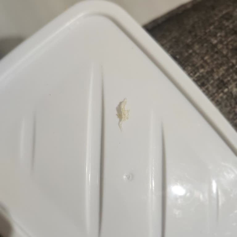 Cappy Portakal Suyunda Poşet Parçası Buldum Endişeliyim