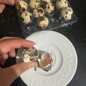 Son Kullanma Tarihi Geçmiş Ve Bozulmuş Bıldırcın Yumurtası Satışı