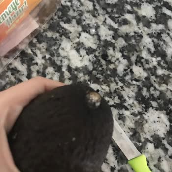 Migros Aldığım Avokadolar Tamamen Çürük Çıktı, İade İstiyorum