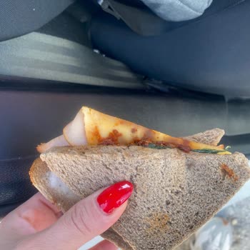 Sandviçin İçinden Saç Çıkması Nedeniyle Hijyen Ve Sağlık Mağduriyeti Yaşadım