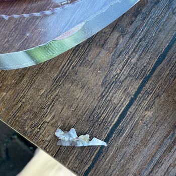 Gıda Ürününde Yabancı Madde ve Sağlık Riski Şikayeti