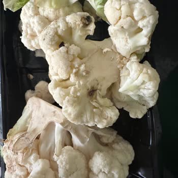 Yemeksepeti Market'ten Defalarca Bozuk Ürün Ve Yetersiz Müşteri Hizmeti