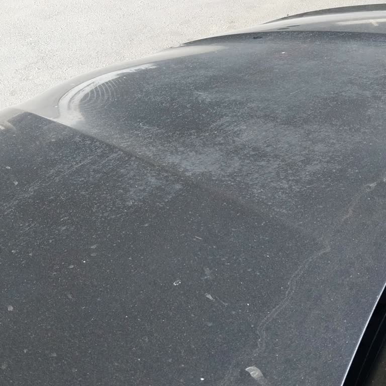 Kaput Koruma İşlemi Sonrası Kalıcı Hasar Ve İlgisizlik