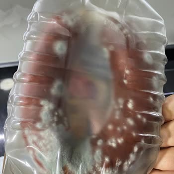 Son Kullanma Tarihi Geçmemiş Sucukta Küf Şoku Ve Mağduriyet