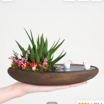 Siparişle Alakasız Çiçek Ve Yetersiz Müşteri Hizmeti