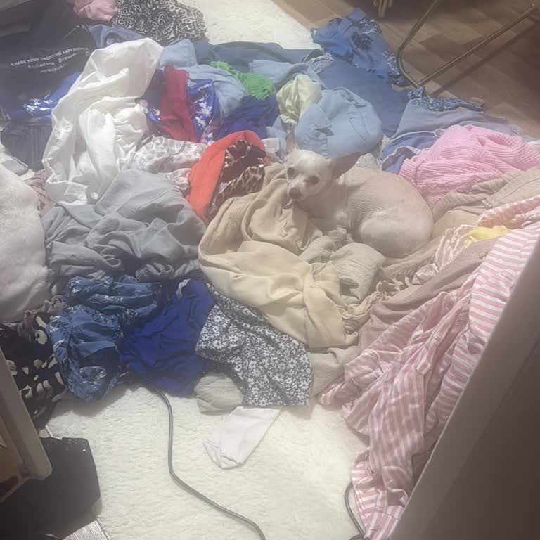 Yeni Aldığım Çamaşır Makinesi Kötü Koku Ve Uzun Program Süresiyle Mağdur Ediyor