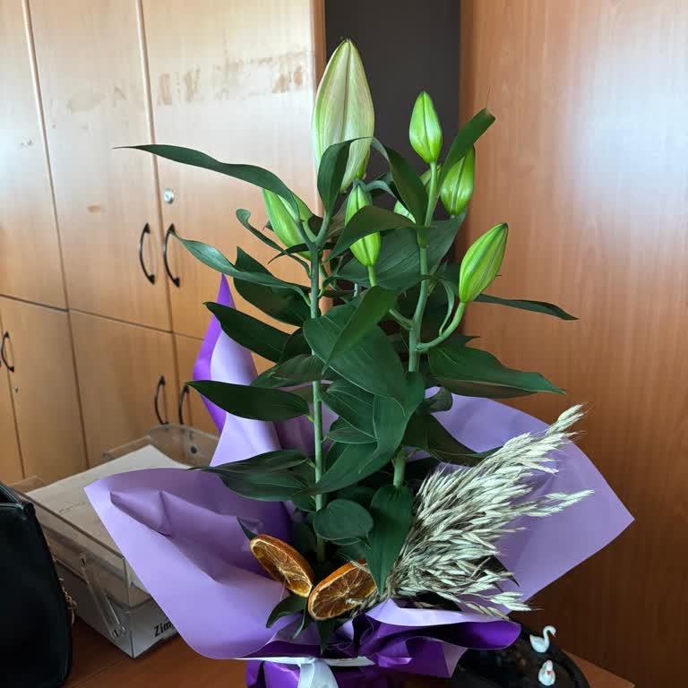 Görseldekiyle Alakasız Ve Açmamış Çiçek, Müşteri Hizmetleri İlgisiz