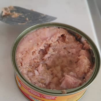 Aldığım Ton Balığı Konservesi Küflü Çıktı, Mağduriyetimin Giderilmesini İstiyorum