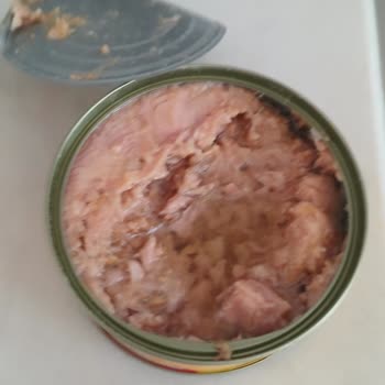 Aldığım Ton Balığı Konservesi Küflü Çıktı, Mağduriyetimin Giderilmesini İstiyorum