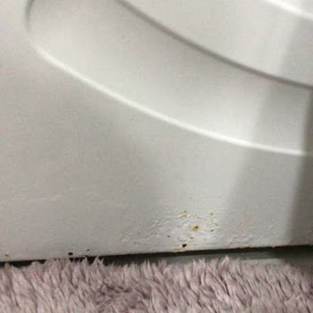 Bosch Çamaşır Makinesinde Küf Ve Pas Sorunu Çözülmüyor