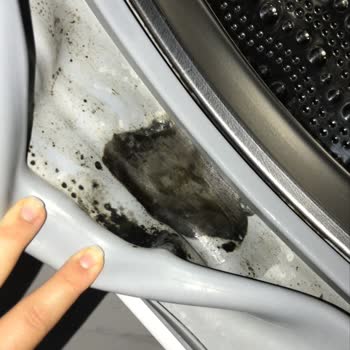 Bosch Çamaşır Makinesinde Küf Ve Pas Sorunu Çözülmüyor