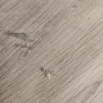 Lark Blue Long Sigaralarda Sürekli Odun Parçacığı Çıkması Mağdur Ediyor