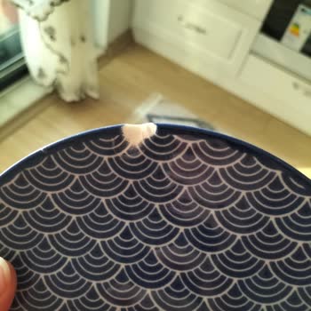 Kırık Tabaklar Ve Yetersiz Müşteri Hizmeti Mağduriyeti