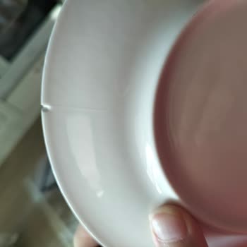 Kırık Tabaklar Ve Yetersiz Müşteri Hizmeti Mağduriyeti