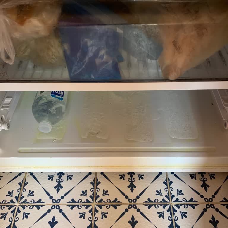 Garanti Süresi Dolan Buzdolabı İçin Destek Talebimiz Karşılanmadı