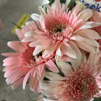 Geç Teslimat Ve Solmuş Çiçekle Hayal Kırıklığı