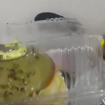 Kemal Usta Waffles Tatlı İçinde Sinek Var Canlı