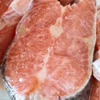 Bozuk Balık Teslimatı Sonrası İade Ve Çözüm Bekliyorum