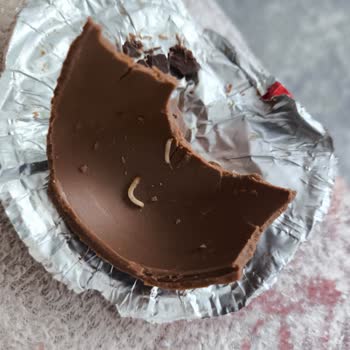 Çikolatanın İçinden Kurt Çıkması Ve Markadan Geri Dönüş Alınamaması