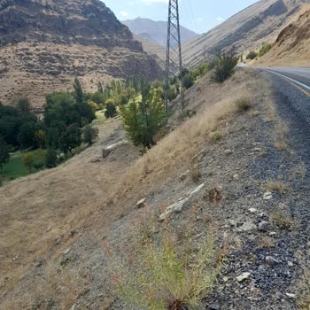 Elektrik Direği Nedeniyle Arsamı Kullanamıyor, Maddi Mağduriyet Yaşıyorum