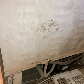 Bosch Buzdolabı Arızasında Yüksek Ücretli Değişim Teklifi Mağduriyeti