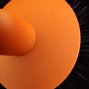 Yüksek Fiyatla Satın Alınan Dyson'dan Kullanılmış Ürün Şoku Ve Yetersiz Müşteri Hizmeti