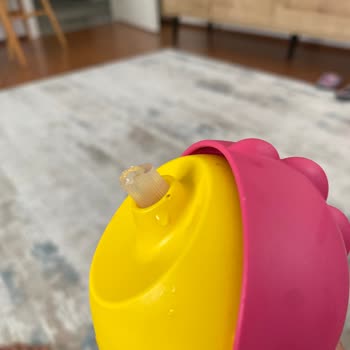 Philips Avent Suluğun İki Hafta Sonra Pipet Kısmı Koptu