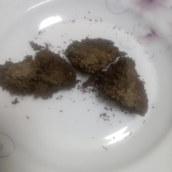 Satın Alınan Çayda Küf ve Topaklanma Sorunu