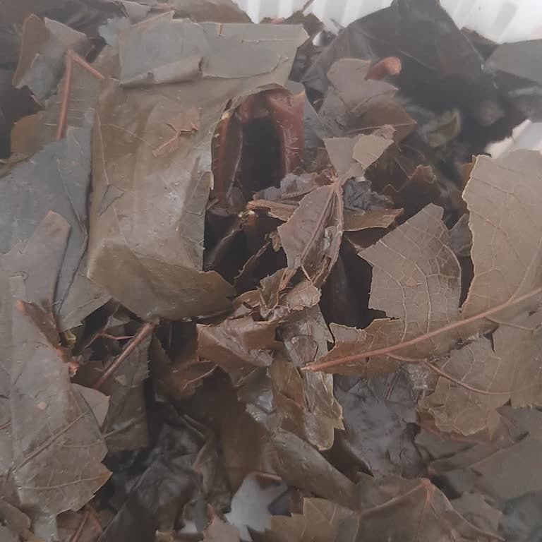 Aldığım Asma Yaprakları Sert Ve Bayat Çıktı