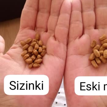 Kedidukkani.com Mama Bozuk Çıktı