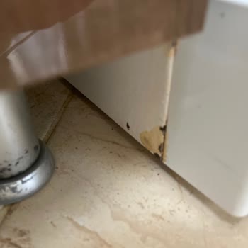 Bulaşık Makinesinde Süregelen Paslanma Ve Su Almama Sorunu