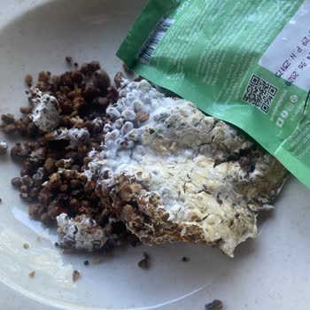 Son Kullanma Tarihi Geçmemiş Üründe Küf Sorunu Ve Para İadesi Talebi