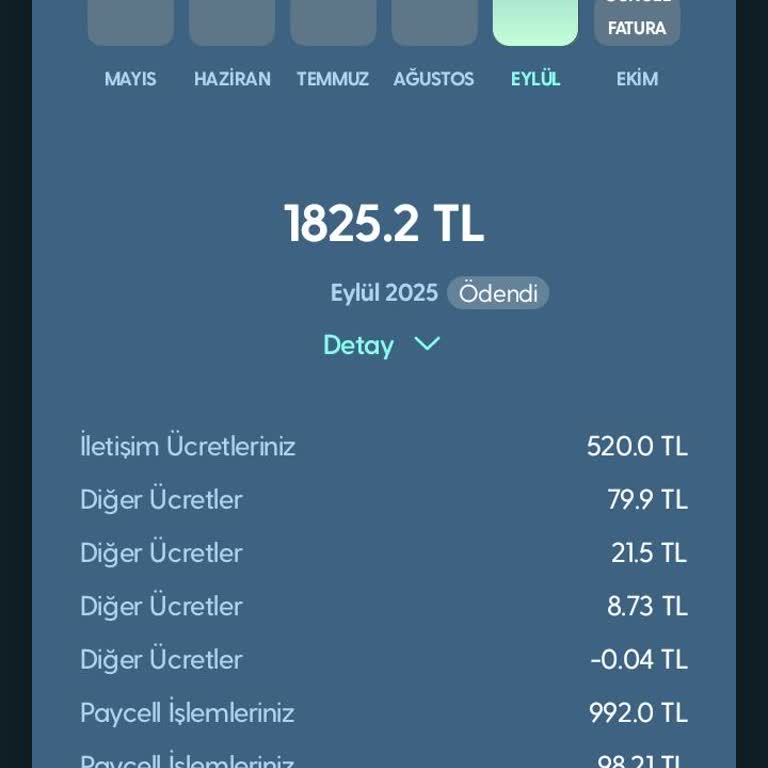 Ödenen Faturam Sistemsel Hata Nedeniyle Tekrar Borçlandırıldı, Mağduriyetimin Giderilmesini Talep Ediyorum