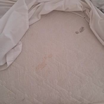 Hijyen Sorunu Ve Mağduriyet: SSC Tur İle Kötü Otel Deneyimi