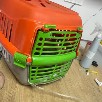 Raksharab Kuduz Aşısı/ İlçe Tarım Müdürlüğü Şikayeti