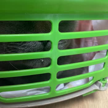 Raksharab Kuduz Aşısı/ İlçe Tarım Müdürlüğü Şikayeti