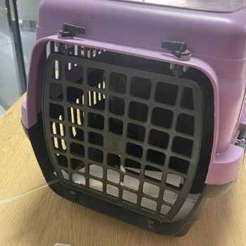 Raksharab Kuduz Aşısı/ İlçe Tarım Müdürlüğü Şikayeti