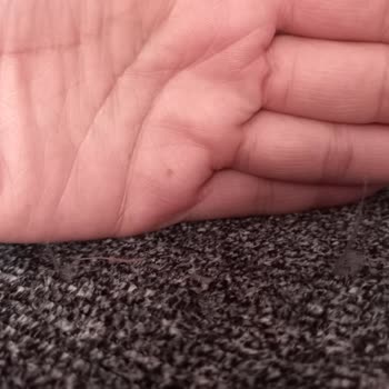 Aldığımız Koltuk Takımında Kumaş Sorunu Ve Mağaza İletişimsizliği